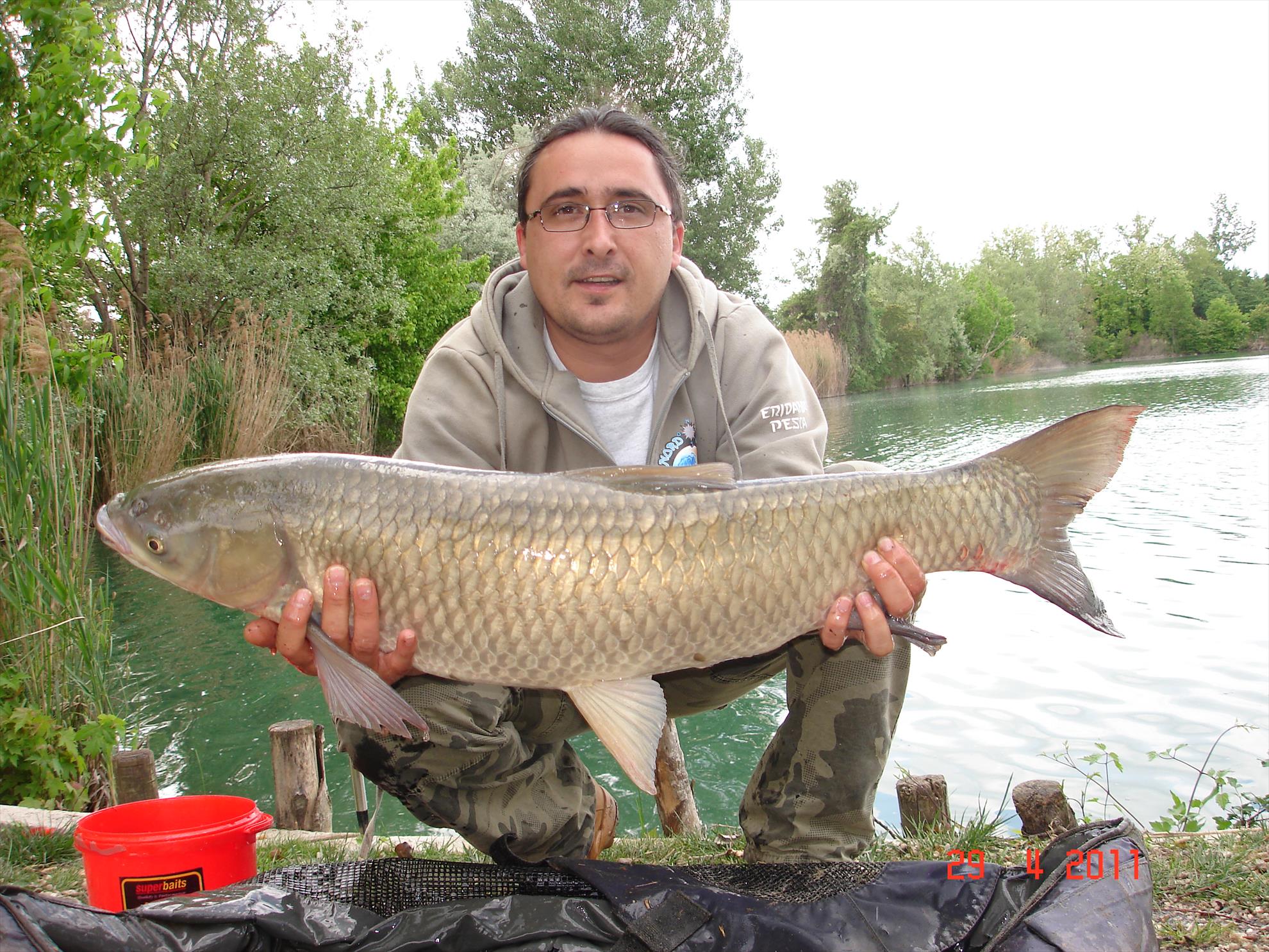 THE BIGS OF 2011 - dsc03517.JPG